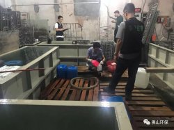 佛山三級環(huán)保加公安部門聯(lián)合執(zhí)法查處南海2家污企，七人被帶走調(diào)查