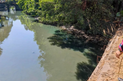 萬(wàn)江：河涌現(xiàn)“綠水”，偷排企業(yè)被查處！